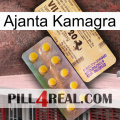 Ajanta Kamagra new06